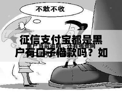 征信支付宝都是黑户有口子借款吗？如何解决资金需求