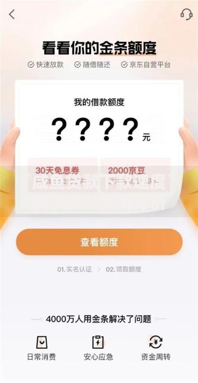 咸鱼贷款下款速度快不快？实测分析申请流程与审核机制