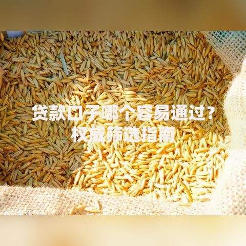 贷款口子哪个容易通过？权威筛选指南