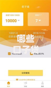 哪些口子贷款不查征信？真实渠道深度解析