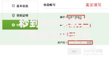 秒到300贷款口子哪些正规平台？申请流程全解析