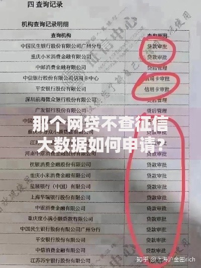 那个网贷不查征信大数据如何申请？