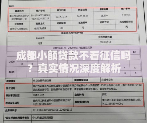 成都小额贷款不看征信吗？真实情况深度解析