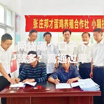 网贷哪个口子下款多？高通过率平台筛选攻略
