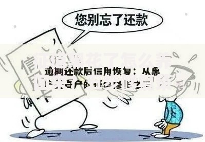 征信黑花了怎么养回来？五步修复策略助你重建信用