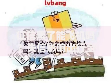 征信黑了能飞机吗？失信影响出行全解析