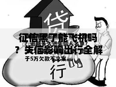 征信黑了能飞机吗？失信影响出行全解析