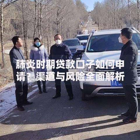 肺炎时期贷款口子如何申请？渠道与风险全面解析