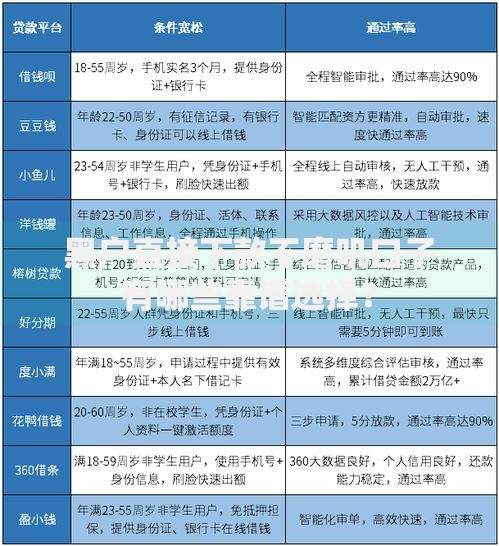 黑户直接下款不磨叽口子有哪些靠谱选择？