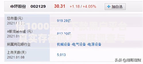 借1000元必下款黑户平台真实存在吗？深度调查与风险解析
