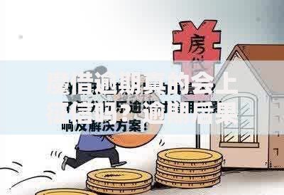 魔借逾期真的会上征信吗？逾期后果及应对策略解析