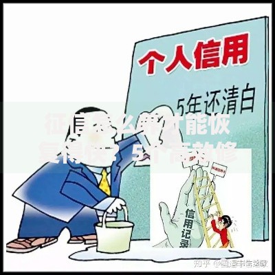 征信怎么养才能恢复得快？5个高效修复技巧解密