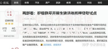 哪个信贷不看征信记录？正规低息平台深度解析