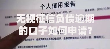 无视征信负债逾期的口子如何申请？全面解析贷款新选择