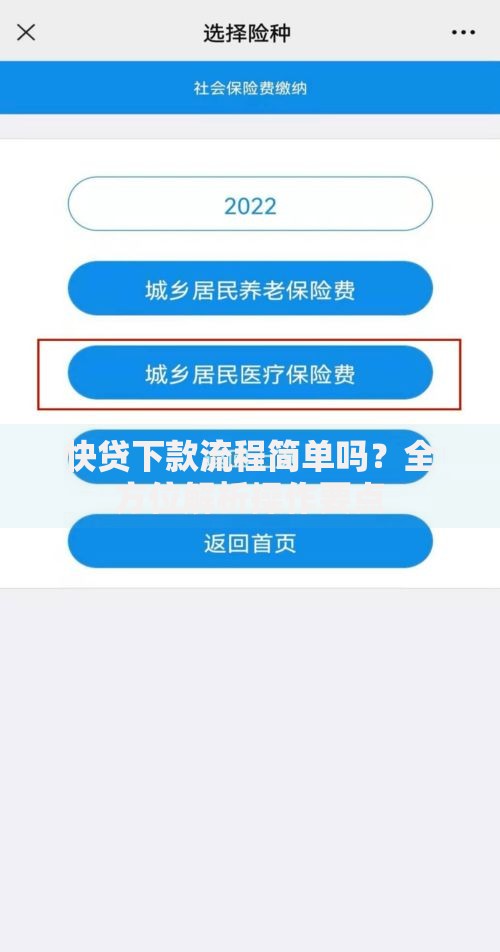 快贷下款流程简单吗？全方位解析操作要点