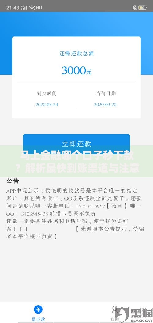 马上金融哪个口子秒下款？解析最快到账渠道与注意事项