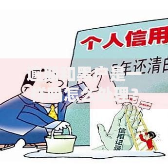 逾期和黑户是一样吗怎么处理？区别解析与应对方案