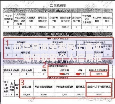 征信查询免费网上查询：如何获取个人信用报告指南