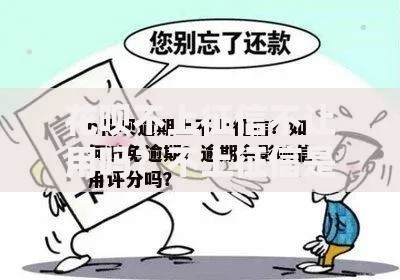 花呗不上征信不让用吗？不上征信是否影响使用权限解析