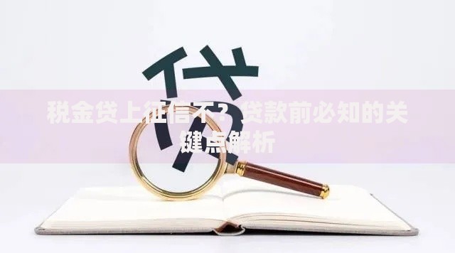 税金贷上征信不？贷款前必知的关键点解析