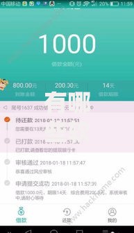 有哪些软件不看征信放款很快-深度解析平台特性与风险防范