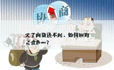 网贷欠了三年怎么办？三步解决债务危机，避免法律风险