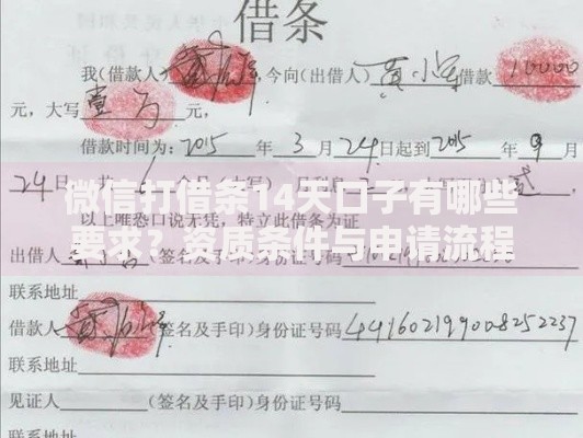 微信打借条14天口子有哪些要求？资质条件与申请流程详解