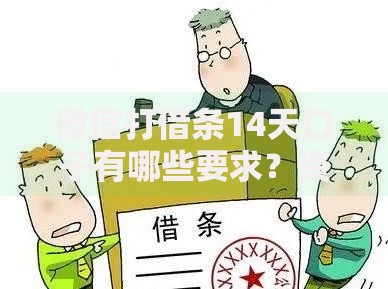 微信打借条14天口子有哪些要求？资质条件与申请流程详解