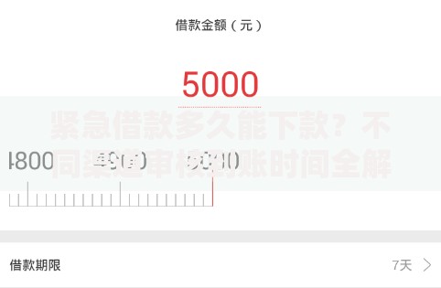 紧急借款多久能下款？不同渠道审核到账时间全解析