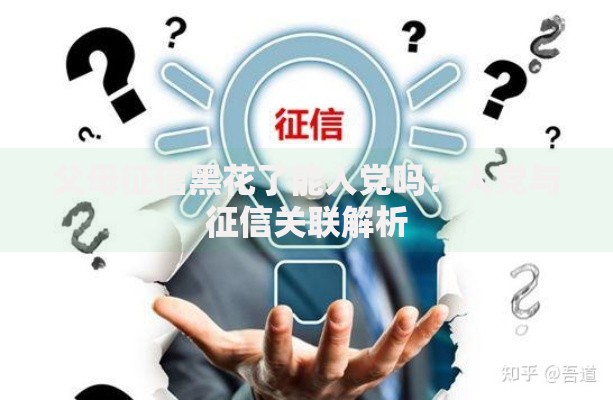 父母征信黑花了能入党吗？入党与征信关联解析