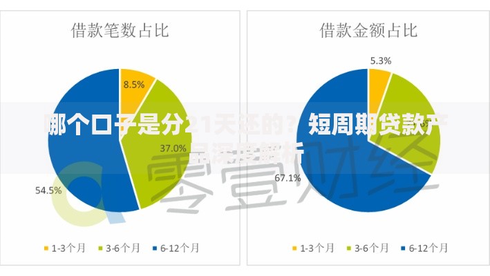 哪个口子是分21天还的？短周期贷款产品深度解析