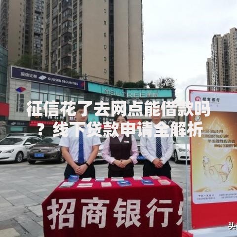 征信花了去网点能借款吗？线下贷款申请全解析