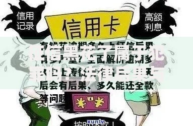 征信黑花了属于犯罪吗？法律后果与贷款影响深度解析