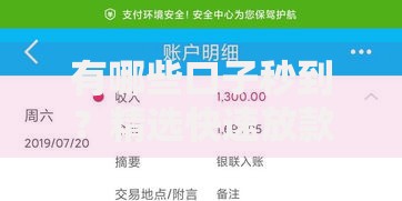 有哪些口子秒到？精选快速放款渠道解析