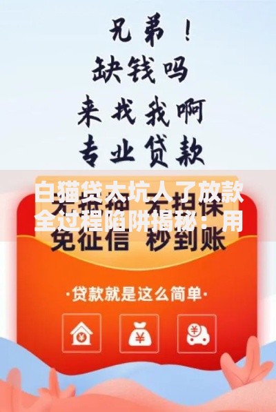 白猫贷太坑人了放款全过程陷阱揭秘：用户如何避坑