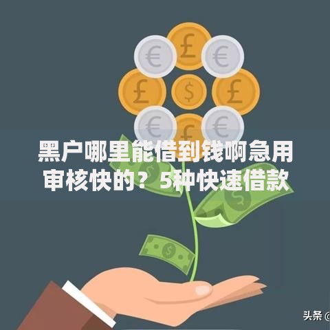 黑户哪里能借到钱啊急用审核快的？5种快速借款方案解析