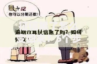 征信黑了怎么变回来？5个步骤修复信用全解析