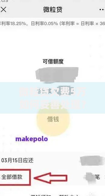 微粒贷欠费5万如何妥善处理？解决方案与应对策略解析