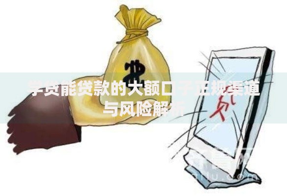 学贷能贷款的大额口子正规渠道与风险解析