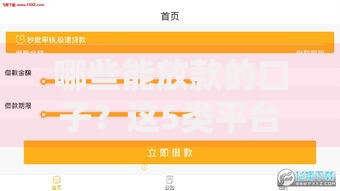 哪些能放款的口子？这5类平台申请门槛低到账快