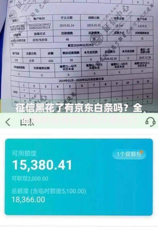 征信黑花了有京东白条吗?全面解析信用修复与开通技巧 征信黑花了有京东白条吗?全面解析信用修复与开通技巧