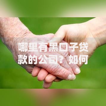 哪里有黑口子贷款的公司？如何识别风险与防范陷阱