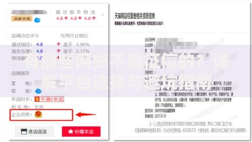 有那些网贷不看征信的？详解平台选择与避坑指南
