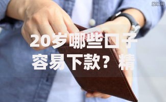 20岁哪些口子容易下款？精选低门槛正规平台解析