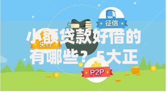 小额贷款好借的有哪些？5大正规渠道深度解析