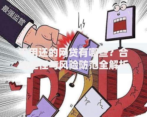 不用还的网贷有哪些？合法途径与风险防范全解析