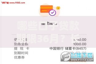 哪些口子贷款期限36月？长期贷款平台选择指南