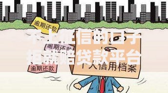 不上征信的口子拒就赔贷款平台解析