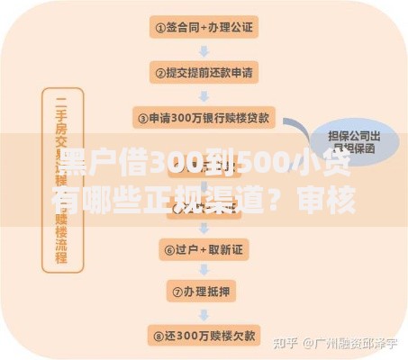 黑户借300到500小贷有哪些正规渠道？审核流程详解