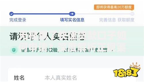 无视黑了快速贷款口子如何申请？深度解析正规渠道
